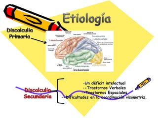 -Un déficit intelectual
--Trastornos Verbales
--Trastornos Espaciales
--Dificultades en la coordinación visomotriz.
 