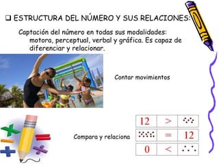  ESTRUCTURA DEL NÚMERO Y SUS RELACIONES:
Captación del número en todas sus modalidades:
motora, perceptual, verbal y gráfica. Es capaz de
diferenciar y relacionar.
Contar movimientos
Compara y relaciona
 