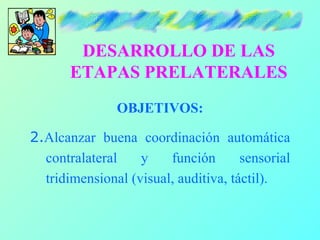 DESARROLLO DE LAS
       ETAPAS PRELATERALES
               OBJETIVOS:

2.Alcanzar buena coordinación automática
  contralateral    y    función       sensorial
  tridimensional (visual, auditiva, táctil).
 