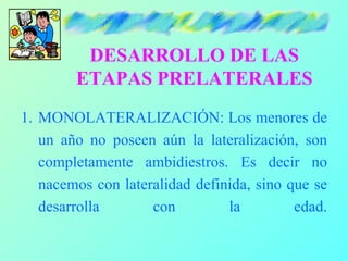 DESARROLLO DE LAS
        ETAPAS PRELATERALES
1. MONOLATERALIZACIÓN: Los menores de
   un año no poseen aún la lateralización, son
   completamente ambidiestros. Es decir no
   nacemos con lateralidad definida, sino que se
   desarrolla       con         la         edad.
 