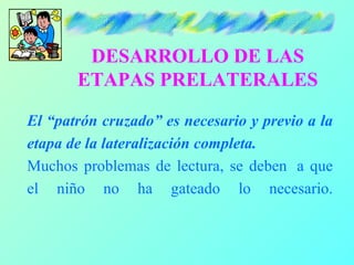 DESARROLLO DE LAS
       ETAPAS PRELATERALES

El “patrón cruzado” es necesario y previo a la
etapa de la lateralización completa.
Muchos problemas de lectura, se deben a que
el niño no ha gateado lo necesario.
 