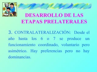 DESARROLLO DE LAS
      ETAPAS PRELATERALES
3. CONTRALATERALIZACIÓN: Desde el
año hasta los 6 o 7 se produce un
funcionamiento coordinado, voluntario pero
asimétrico. Hay preferencias pero no hay
dominancias.
 