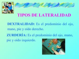 TIPOS DE LATERALIDAD
DEXTRALIDAD: Es el predominio del ojo,
mano, pie y oído derecho.
ZURDERÍA: Es el predominio del ojo, mano,
pie y oído izquierdo.
 