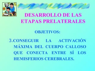 DESARROLLO DE LAS
    ETAPAS PRELATERALES
         OBJETIVOS:

3.CONSEGUIR   LA   ACTIVACIÓN
  MÁXIMA DEL CUERPO CALLOSO
 ...