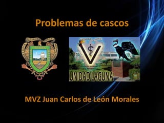 Problemas de cascos




MVZ Juan Carlos de León Morales
 