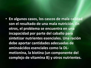 • En algunos casos, los cascos de mala calidad
  son el resultado de una mala nutrición. En
  otros, el problema se encuentra en una
  incapacidad por parte del caballo para
  sintetizar nutrientes esenciales. Una ración
  debe aportar cantidades adecuadas de
  aminoácidos esenciales como la DL-
  metionina, la biotina (un componente del
  complejo de vitamina B) y otros nutrientes.
 