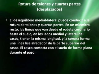 Rotura de talones y cuartas partes
                 (desplazados)

• El desequilibrio medial-lateral puede conducir a la
  rotura de talones y cuartas partes. En un miembro
  recto, las líneas que van desde el rodete coronario
  hasta el suelo, en los lados medial y lateral del
  casco, tienen la misma longitud, y la corona forma
  una línea lisa alrededor de la parte superior del
  casco. El casco contacta con el suelo de forma plana
  durante el paso.
 
