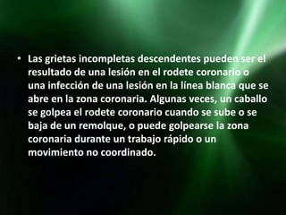 • Las grietas incompletas descendentes pueden ser el
  resultado de una lesión en el rodete coronario o
  una infección de una lesión en la línea blanca que se
  abre en la zona coronaria. Algunas veces, un caballo
  se golpea el rodete coronario cuando se sube o se
  baja de un remolque, o puede golpearse la zona
  coronaria durante un trabajo rápido o un
  movimiento no coordinado.
 