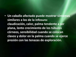 • Un caballo afectado puede mostrar síntomas
  similares a los de la infosura:
  claudicación, calor, palma tendente a ser
  plana, lento crecimiento de los túbulos
  córneos, sensibilidad cuando se colocan
  clavos y dolor en la palma cuando se ejerce
  presión con las tenazas de exploración.
 