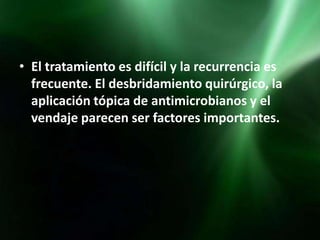 • El tratamiento es difícil y la recurrencia es
  frecuente. El desbridamiento quirúrgico, la
  aplicación tópica de antimicrobianos y el
  vendaje parecen ser factores importantes.
 