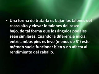 • Una forma de tratarla es bajar los talones del
  casco alto y elevar lo talones del casco
  bajo, de tal forma que los ángulos podales
  sean similares. Cuando la diferencia inicial
  entre ambos pies es leve (menos de 5°) este
  método suele funcionar bien y no afecta al
  rendimiento del caballo.
 