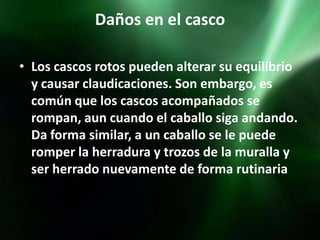 Daños en el casco

• Los cascos rotos pueden alterar su equilibrio
  y causar claudicaciones. Son embargo, es
  común que los cascos acompañados se
  rompan, aun cuando el caballo siga andando.
  Da forma similar, a un caballo se le puede
  romper la herradura y trozos de la muralla y
  ser herrado nuevamente de forma rutinaria
 
