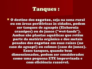 Tanques :
O destino dos esgotos , seja na zona rural
 ou em áreas periféricas às cidades, podem
     ser tanques de aguapés (Eichornia
    crassipes) ou de junco ("wet-lands").
  Ambas são plantas aquáticas que retêm
   parte da matéria orgânica e dos metais
  pesados dos esgotos em suas raízes (no
caso do aguapé) ou colmos (caso do junco).
         Esses tanques, quando bem
  dimensionados, podem ser considerados
   como uma pequena ETE improvisada e
           com eficiência razoável.
 