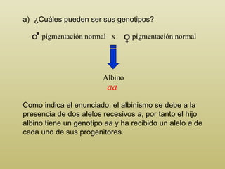 pigmentación normal  x  pigmentación normal ¿ C uáles pueden ser sus genotipos? Albino Como indica el enunciado, el albinismo se debe a la presencia de dos alelos recesivos  a , por tanto el hijo albino tiene un genotipo  aa  y ha recibido un alelo  a  de cada uno de sus progenitores. aa 