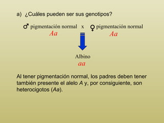 ¿ C uáles pueden ser sus genotipos? Albino Al tener pigmentación normal, los padres deben tener también presente el alelo  A  y, por consiguiente, son heterocigotos ( Aa ). Aa aa Aa pigmentación normal  x  pigmentación normal 