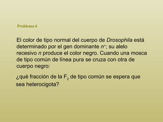 Problema 6 El color de tipo normal del cuerpo de  Drosophila  está determinado por el gen dominante  n + ; su alelo recesivo  n  produce el color negro. Cuando una mosca de tipo común de línea pura se cruza con otra de cuerpo negro : ¿qué fracción de la F 2  de tipo común se espera que   sea heterocigota? 
