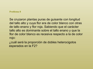 Problema 8 Se cruzaron plantas puras de guisante con longitud del tallo alto y cuya flor era de color blanco con otras de tallo enano y flor roja. Sabiendo que el carácter tallo alto es dominante sobre el tallo enano y que la flor de color blanco es recesiva respecto a la de color rojo : ¿cuál será la proporción de dobles heterocigotos esperados en la F2? 