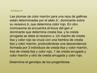 Problema 9 Las plumas de color marrón para una raza de gallinas están determinadas por el alelo  b + ,  dominante sobre su recesivo  b , que determina color rojo. En otro cromosoma se encuentra el locus del gen  s +  dominante que determina cresta lisa, y la cresta arrugada se debe al recesivo  s . Un macho de cresta lisa y color rojo se cruza con una hembra de cresta lisa y color marrón, produciéndose una descendencia formada por 3 individuos de cresta lisa y color marrón, tres de cresta lisa y color rojo, 1 de cresta arrugada y color marrón y otro de cresta arrugada y color rojo.  Determina el genotipo de los progenitores. 