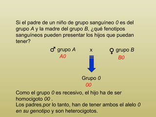 Si el padre de un niño de grupo sanguíneo  0  es del grupo  A  y la madre del grupo  B , ¿qué fenotipos sanguíneos pueden presentar los hijos que puedan tener?  Grupo  0 Como el grupo  0  es recesivo, el hijo ha de ser homocigoto  00  . B0 00 A0 grupo  A grupo  B x Los padres,por lo tanto, han de tener ambos el alelo  0 en su genotipo  y son heterocigotos. 