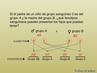 Si el padre de un niño de grupo sanguíneo  0  es del grupo  A  y la madre del grupo  B , ¿qué fenotipos sanguíneos pueden presentar los hijos que puedan tener?  B0 A0 grupo  A grupo  B x GAMETOS  AB B0 A0 00 Grupo AB Grupo 0 Grupo B Grupo A FENOTIPOS  Volver al índice A B 0 0 
