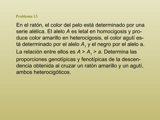 Problema 13 En el ratón, el color del pelo está determinado por una serie alélica. El alelo  A  es letal en homocigosis y pro - duce color amarillo en heterocigosis, el color agutí es - tá determinado por el alelo  A 1  y el negro por el alelo a. La relación entre ellos es  A  >  A 1  >  a . Determina las proporciones genotípicas y fenotípicas de la descen - dencia obtenida al cruzar un ratón amarillo y un agutí, ambos heterocigóticos.  