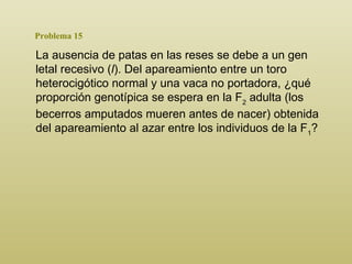 Problema 15 La ausencia de patas en las reses se debe a un gen letal recesivo  ( l ) . Del apareamiento entre un toro heterocigótico normal y una vaca no portadora, ¿qué proporción genotípica se espera en la F 2  adulta (los becerros amputados mueren antes de nacer) obtenida del apareamiento al azar entre los individuos de la F 1 ?  