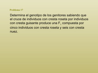 Problema 17 Determina el genotipo de los genitores sabiendo que el cruce de individuos con cresta roseta por individuos con cresta guisante produce una F 1  compuesta por cinco individuos con cresta roseta y seis con cresta nuez.  