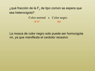 ¿qué fracción de la F 2  de tipo común se espera que   sea heterocigota? Color normal  x  Color negro La mosca de color ne...