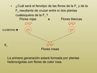 <ul><li>¿ C uál será el fenotipo de las flores de la F 1  y de la F 2  resultante de cruzar entre sí dos plantas cualesqui...