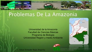 Universidad de la Amazonia
Facultad de Ciencias Básicas
Programa de Biología
Universidad Región y medio Ambiente
• Eduar Esneyder Rojas Angarita
1
Problemas De La Amazonia
 