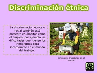 La discriminación étnica o racial también está presente en ámbitos como el empleo, por ejemplo las dificultades que  tienen los inmigrantes para incorporarse en el mundo del trabajo.  Inmigrante trabajando en el campo 