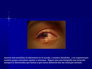 seamos más sensibles al sufrimiento en el mundo, a nuestro alrededor,  y no cegarnos por
nuestra propia naturaleza egoísta e intereses.  Espero que esta fotografía nos recuerde
siempre lo afortunados que somos y que nunca debemos dar las cosas por sentado.
 