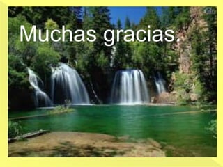 Muchas gracias.
 