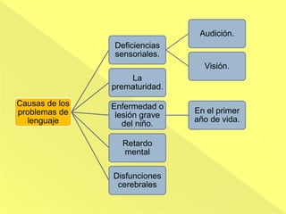 Causas de los
problemas de
lenguaje
Deficiencias
sensoriales.
Audición.
Visión.
La
prematuridad.
Enfermedad o
lesión grave
del niño.
En el primer
año de vida.
Retardo
mental
Disfunciones
cerebrales
 