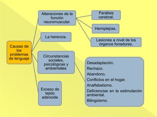Causas de
los
problemas
de lenguaje
Alteraciones de la
función
neuromuscular.
Parálisis
cerebral.
Hemiplejías.
Lesiones a nivel de los
órganos fonadores.
La herencia.
Exceso de
tejido
adenoide
Circunstancias
sociales,
psicológicas y
ambientales.
Desadaptación.
Rechazo.
Abandono.
Conflictos en el hogar.
Analfabetismo.
Deficiencias en la estimulación
ambiental.
Bilingüismo.
 