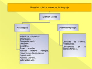 Diagnóstico de los problemas del lenguaje
Examen Médico
Neurológico
Estado de conciencia.
Orientación.
Comportamiento.
Lenguaje.
Equilibrio.
Pares craneales.
Función motora: Reflejos,
movimientos Involuntarios.
Coordinación.
Agnosia. Apraxia.
Lateralidad, etc.
Otorrinolaringólogo.
Descarte de sordera.
Hipoacusias.
Deficiencias en el
aparato fonador.
 