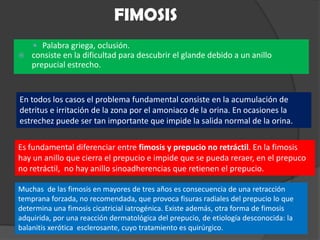 FIMOSIS
 Palabra griega, oclusión.
 consiste en la dificultad para descubrir el glande debido a un anillo
prepucial estrecho.
En todos los casos el problema fundamental consiste en la acumulación de
detritus e irritación de la zona por el amoniaco de la orina. En ocasiones la
estrechez puede ser tan importante que impide la salida normal de la orina.
Es fundamental diferenciar entre fimosis y prepucio no retráctil. En la fimosis
hay un anillo que cierra el prepucio e impide que se pueda reraer, en el prepuco
no retráctil, no hay anillo sinoadherencias que retienen el prepucio.
Muchas de las fimosis en mayores de tres años es consecuencia de una retracción
temprana forzada, no recomendada, que provoca fisuras radiales del prepucio lo que
determina una fimosis cicatricial iatrogénica. Existe además, otra forma de fimosis
adquirida, por una reacción dermatológica del prepucio, de etiología desconocida: la
balanitis xerótica esclerosante, cuyo tratamiento es quirúrgico.
 