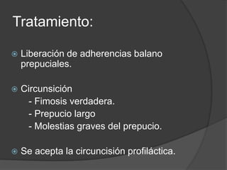 Tratamiento:
 Liberación de adherencias balano
prepuciales.
 Circunsición
- Fimosis verdadera.
- Prepucio largo
- Molestias graves del prepucio.
 Se acepta la circuncisión profiláctica.
 