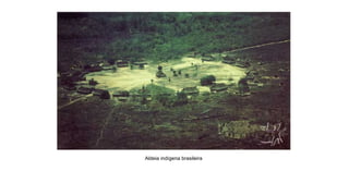 Aldeia indígena brasileira
 