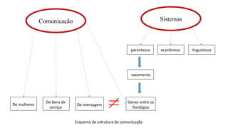 Comunicação Sistemas
De mulheres
De bens de
serviço
De mensagem
Genes entre os
fenótipos
parentesco econômico linguísticos
casamento
Esquema de estrutura de comunicação
 