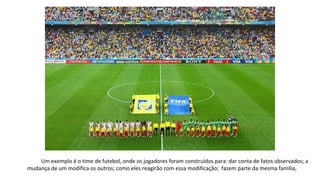 Um exemplo é o time de futebol, onde os jogadores foram construídos para: dar conta de fatos observados; a
mudança de um modifica os outros; como eles reagirão com essa modificação; fazem parte da mesma família,
 