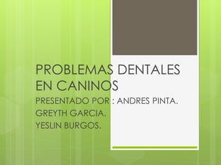 PROBLEMAS DENTALES
EN CANINOS
PRESENTADO POR : ANDRES PINTA.
GREYTH GARCIA.
YESLIN BURGOS.
 