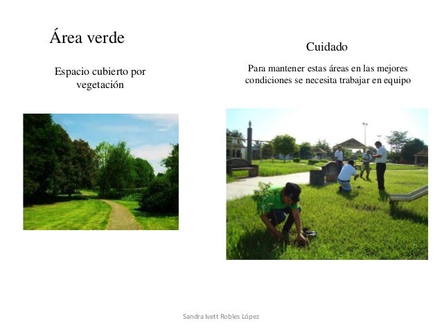 Que Pasaria Si Las Areas Verdes Desaparecieran De Nuestra Comunidad