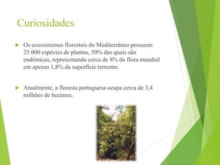 Curiosidades
 Os ecossistemas florestais do Mediterrâneo possuem:
25.000 espécies de plantas, 50% das quais são
endémicas, representando cerca de 8% da flora mundial
em apenas 1,8% da superfície terrestre.
 Atualmente, a floresta portuguesa ocupa cerca de 3,4
milhões de hectares.
 