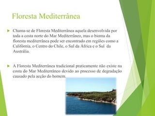 Floresta Mediterrânea
 Chama-se de Floresta Mediterrânea aquela desenvolvida por
toda a costa norte do Mar Mediterrâneo, mas o bioma da
floresta mediterrânea pode ser encontrado em regiões como a
Califórnia, o Centro do Chile, o Sul da África e o Sul da
Austrália.
 A Floresta Mediterrânea tradicional praticamente não existe na
costa do Mar Mediterrâneo devido ao processo de degradação
causado pela acção do homem.
 
