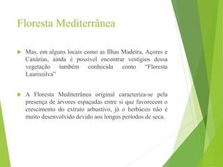 Floresta Mediterrânea
 Mas, em alguns locais como as Ilhas Madeira, Açores e
Canárias, ainda é possível encontrar vestígios dessa
vegetação também conhecida como “Floresta
Laurissilva”
 A Floresta Mediterrânea original caracteriza-se pela
presença de árvores espaçadas entre si que favorecem o
crescimento do extrato arbustivo, já o herbáceo não é
muito desenvolvido devido aos longos períodos de seca.
 