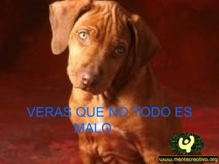 VERAS QUE NO TODO ES MALO   