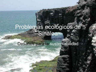 Problemas ecológicos de Sinaloa Desafíos para la  sustentabilidad 