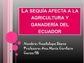 La sequía afecta a la agricultura y ganadería del ecuador Nombre: Guadalupe Sáenz  Profesora: Ana María Cordero Curso:9B 