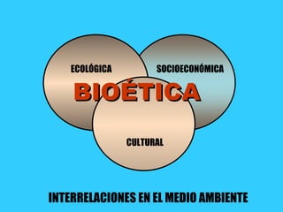 ECOLÓGICA         SOCIOECONÓMICA

    BIOÉTICA
                CULTURAL




INTERRELACIONES EN EL MEDIO AMBIENTE
 